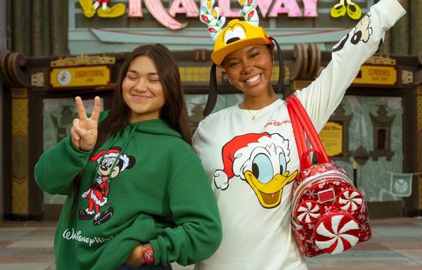 Disney Holidays Banner