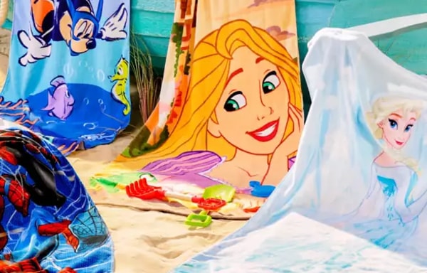 Disney Store Banner