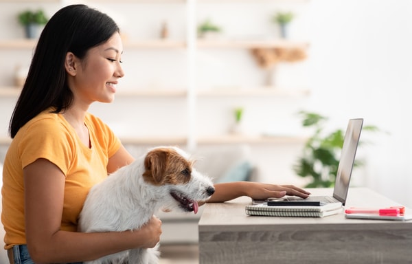 Dog Academy Banner