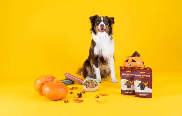 Dog Chef Banner