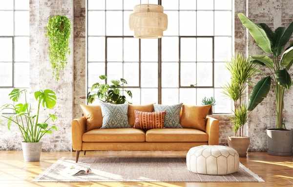 DREAMSOFA Banner
