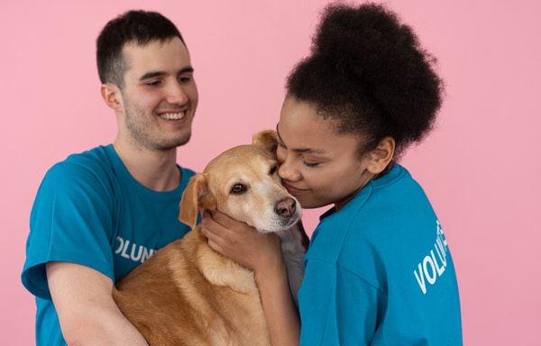 DrPetcare.de Banner