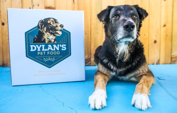 Dylan's Pet Food Banner