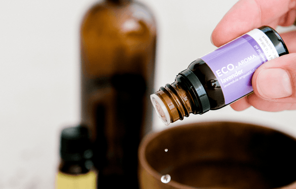 Eco Modern Essentials Banner
