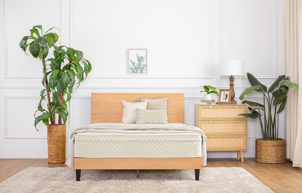 Eco Terra Beds Banner