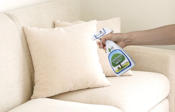 Ecodepa Banner