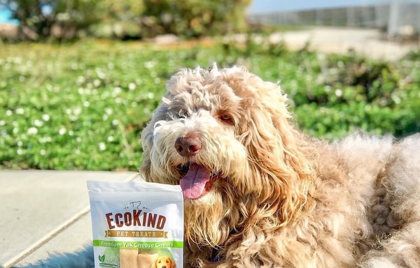 EcoKind Pet Treats Banner