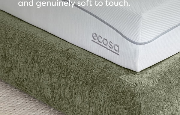 Ecosa Banner