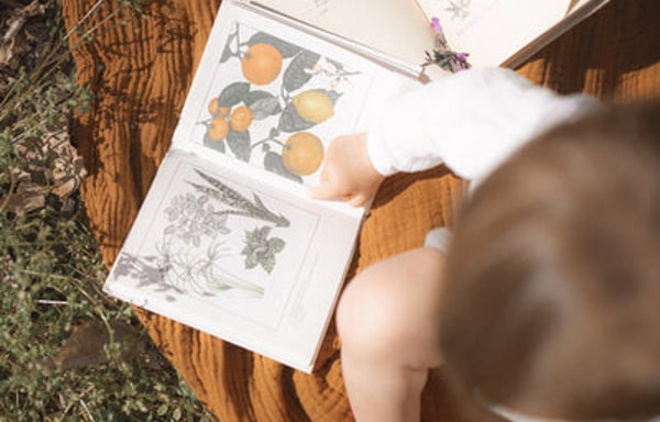 EmHeMa Kinderb&uuml;cher Banner