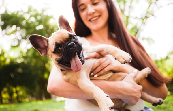 EntirelyPets Banner