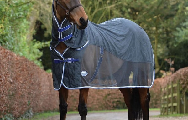 Equine Superstore Banner