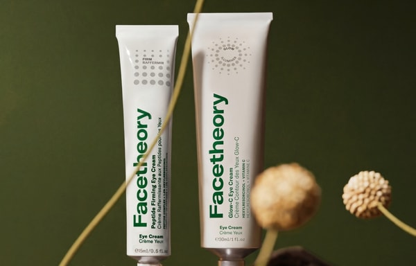 Facetheory Banner