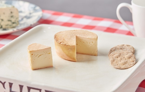 Pong Cheese Banner