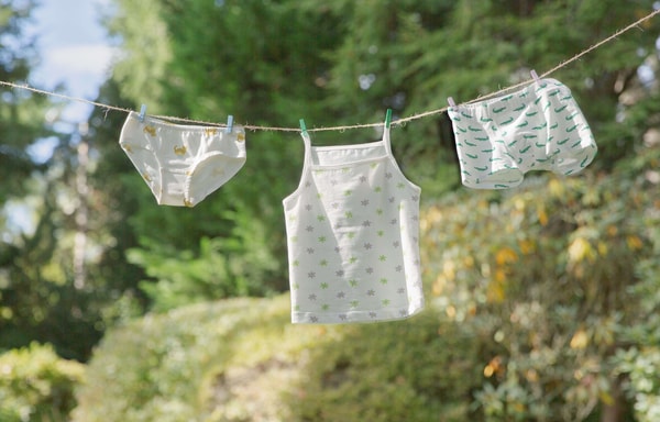 Fig For Kids Banner