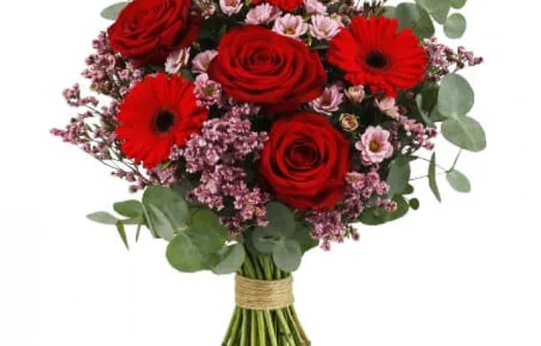Florister i Sverige Banner