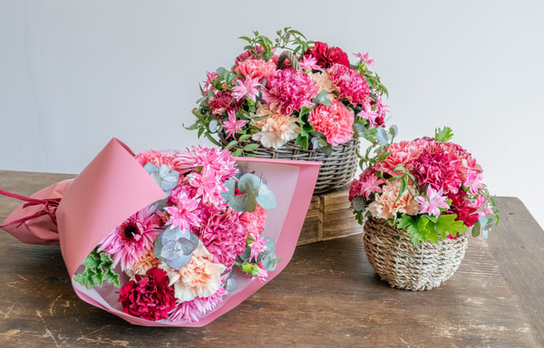 Flower&Plants tette Banner