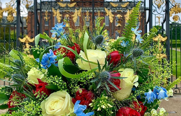 Flowers & Plants Co. Banner