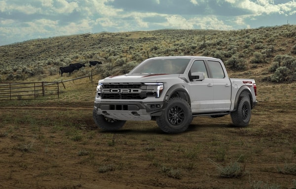 Ford Banner