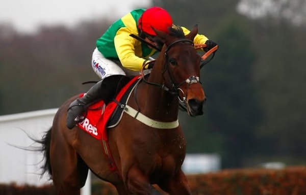 Free Racing Tips Banner