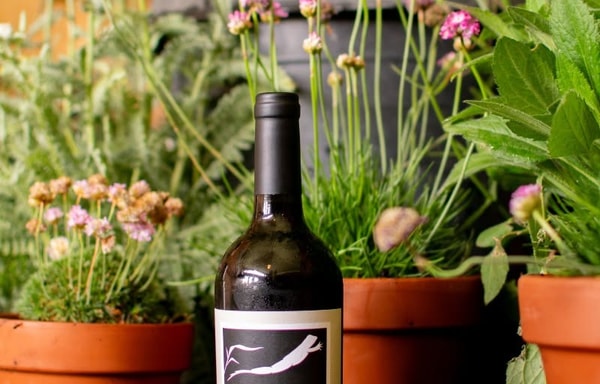 Frog's Leap Winery Banner