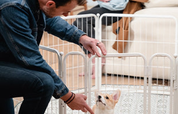 FXW Dog Playpen Banner