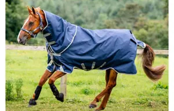 Galop-Store Banner