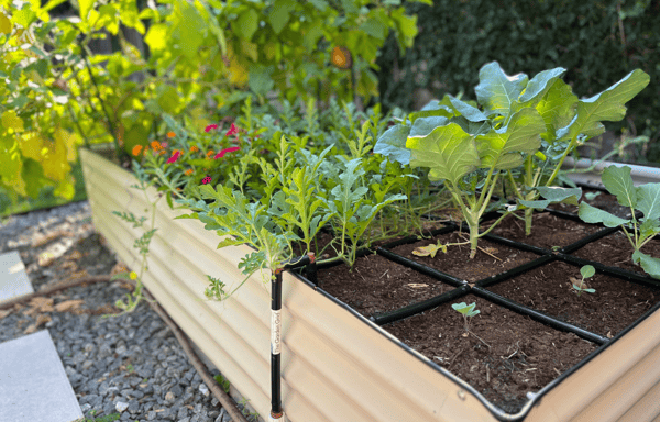 Garden In Minutes Banner