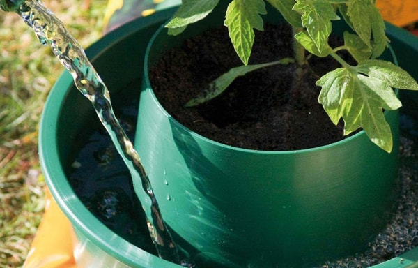 Gardening Naturally Banner