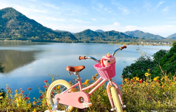 GLERC BIKES Banner