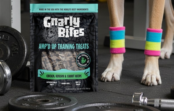 Gnarly Pets Banner
