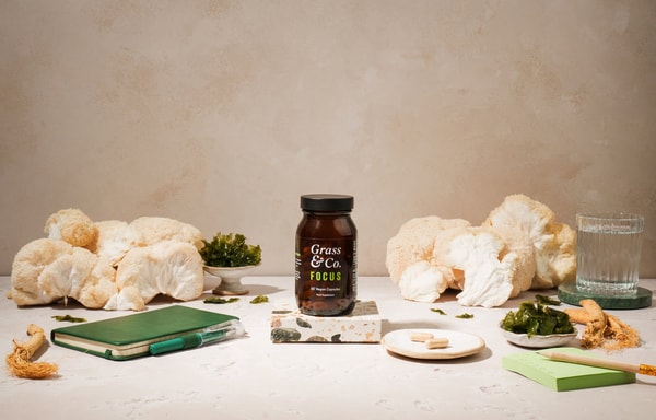 Grass & Co. Banner