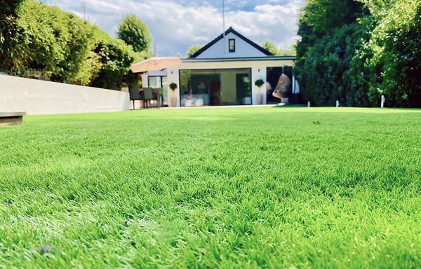 Grass Direct Banner