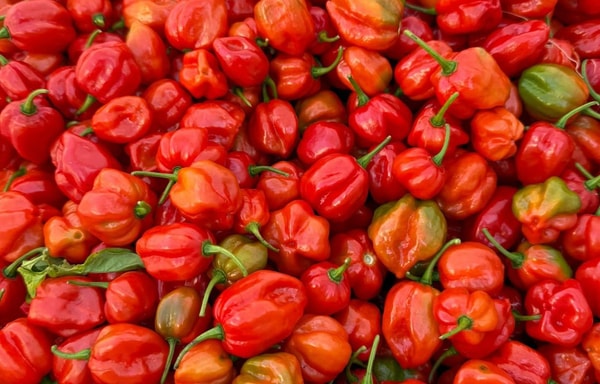 Green Tomato Market Banner