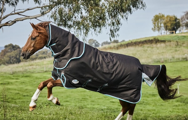 GS Equestrian Banner