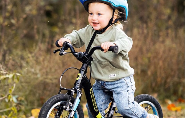 Guardian Bikes Banner