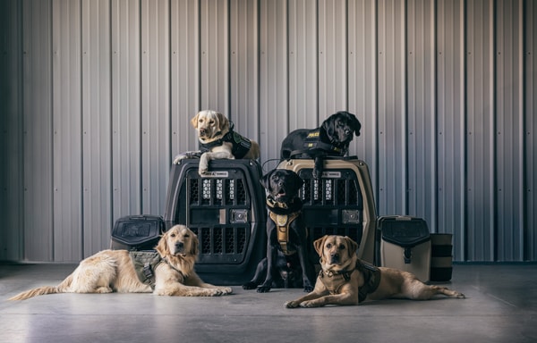 Gunner Kennels Banner