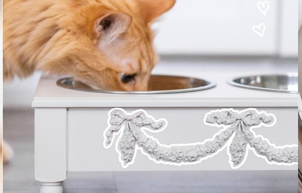 Helpen Pets Banner