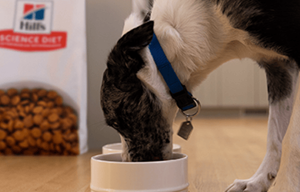 Hill's Pet Nutrition Banner