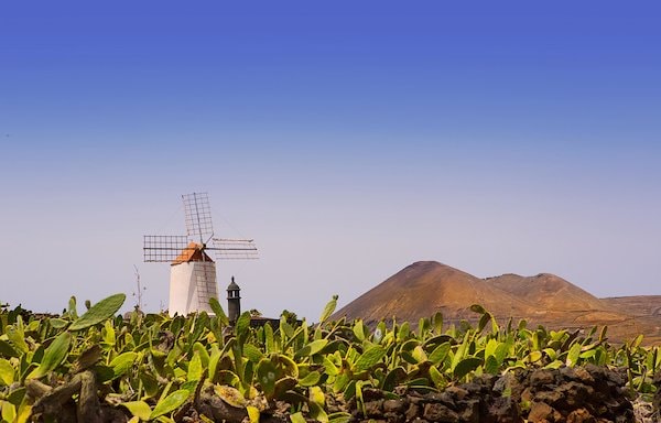Holidu Banner