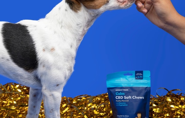 Honest Paws Banner