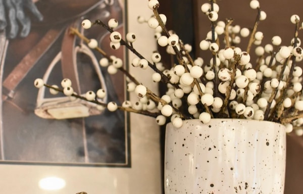 House by JSD Online Banner