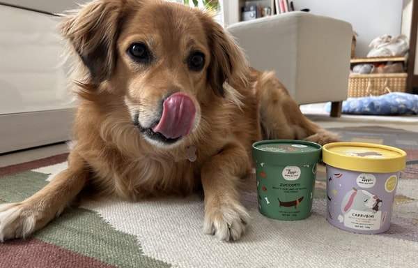 Hygge Pet Food Banner