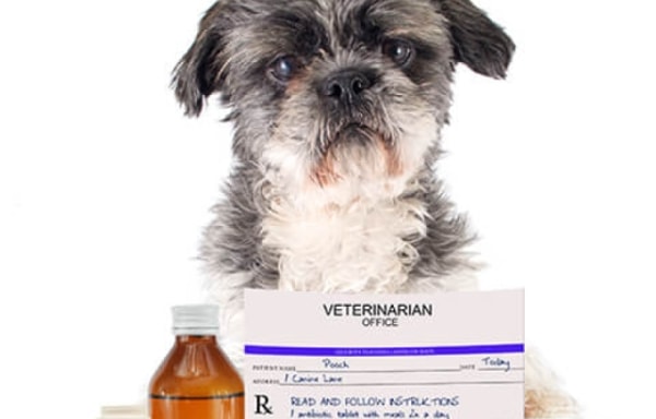 Pet Pharm Canada Banner