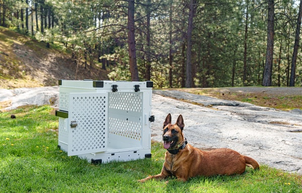 Impact Dog Crates Banner