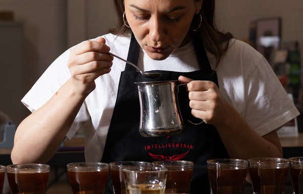 Intelligentsia Banner