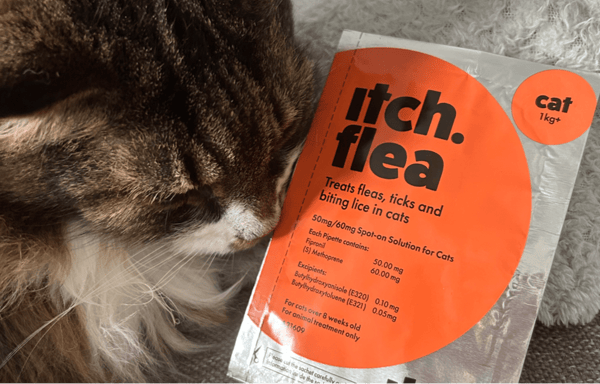 Itch Pet Banner