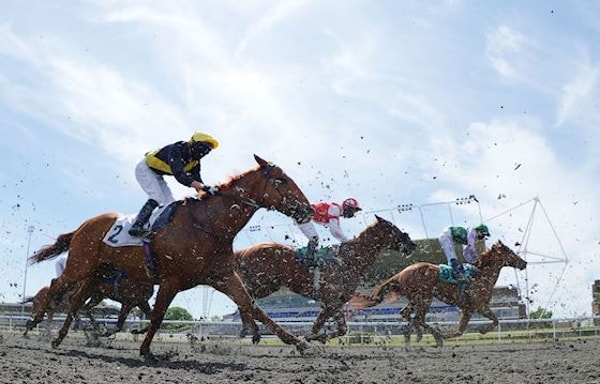 Jockey Club Banner