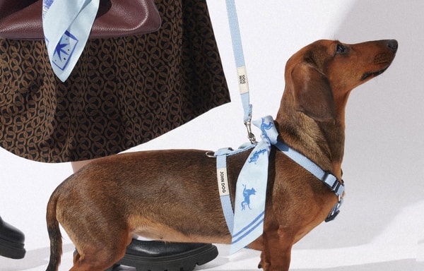 John Dog Banner