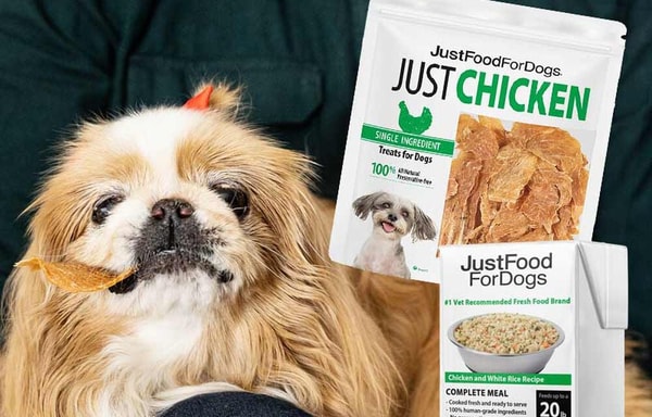 JustFoodForDogs Banner
