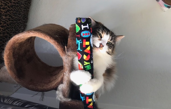 Kitty Kick Stix Banner